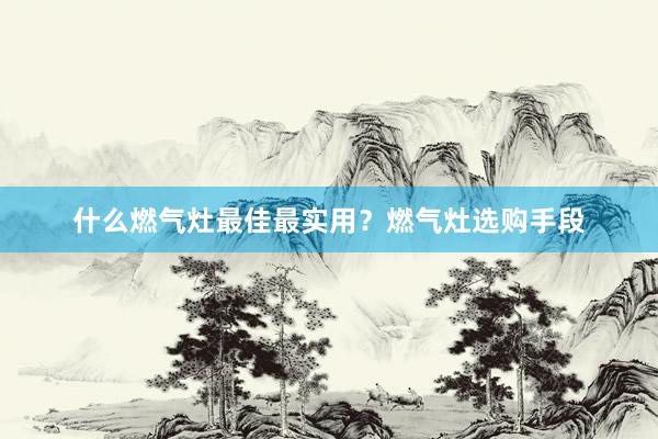 什么燃气灶最佳最实用?燃气灶选购手段