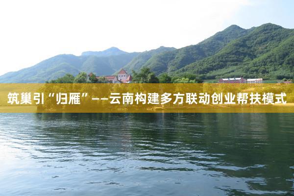筑巢引“归雁”——云南构建多方联动创业帮扶模式