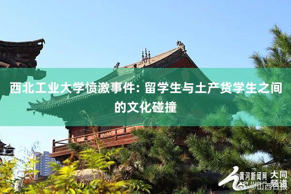 西北工业大学愤激事件: 留学生与土产货学生之间的文化碰撞