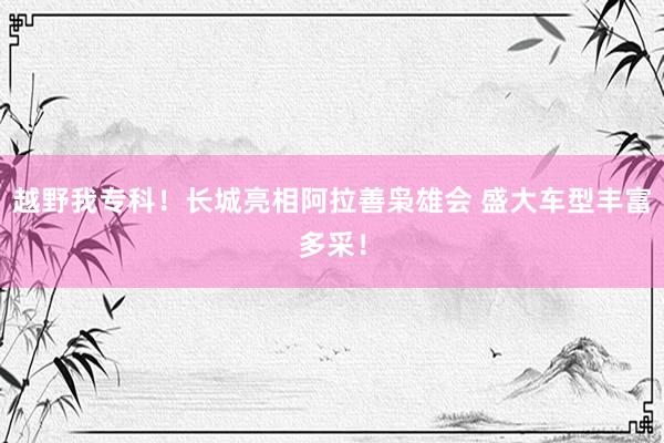 越野我专科！长城亮相阿拉善枭雄会 盛大车型丰富多采！