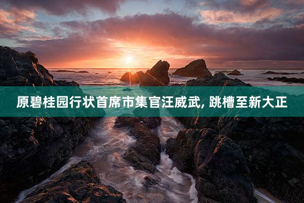 原碧桂园行状首席市集官汪威武, 跳槽至新大正