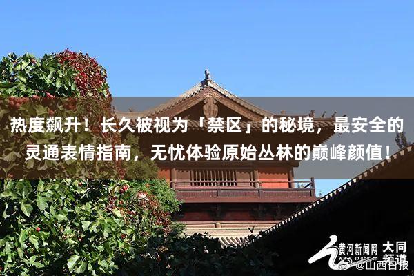 热度飙升！长久被视为「禁区」的秘境，最安全的灵通表情指南，无忧体验原始丛林的巅峰颜值！