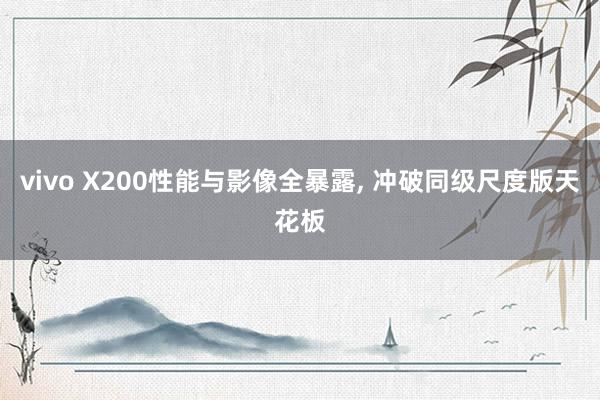 vivo X200性能与影像全暴露, 冲破同级尺度版天花板