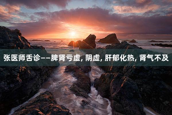 张医师舌诊——脾肾亏虚, 阴虚, 肝郁化热, 肾气不及