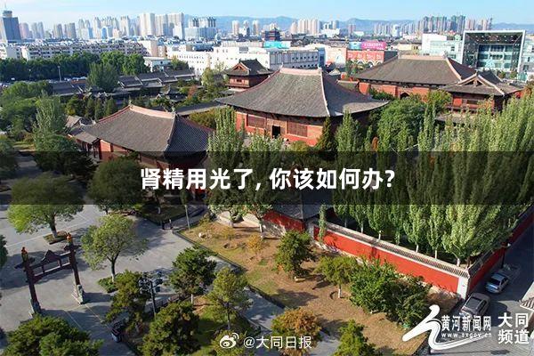 肾精用光了, 你该如何办?